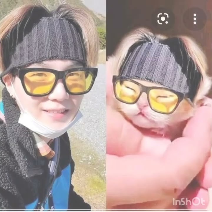 suga vs little cat😂 #bts #suga