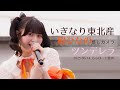 [推しカメラ (FANCAM) 4K]250614 いぎなり東北産 桜ひなの 'ツンデレラ' 직캠