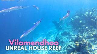 Vilamendhoo Maldives House Reef Unreal Snorkeling In The Indian Ocean 4K