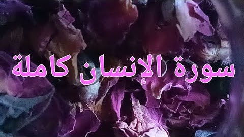 #سورة_الإنسان #كاملة #المصحف #اللهم_صل_وسلم_على_نبينا_محمد 