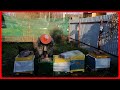 ❄ Экстремальная подкормка пчёл от неминуемой голодной смерти ❄