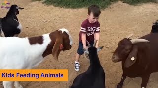 Kids Feeding and Petting Animals | Best Kids Funny Video With Animals | Basama TV.