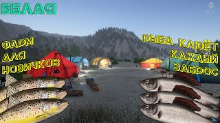 Русская Рыбалка 4. БЕЛАЯ. ФАРМ ДЛЯ НОВИЧКОВ. РАЗБОР ТОЧЕК КАК И ГДЕ ЛОВИТЬ РЫБУ. ХАРИУС. ФОРЕЛЬ.