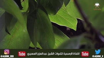 تلاوة رائعة لسورة الطارق بصوت الشيخ عبدالعزيز العسيري