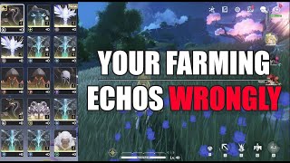 Guaranteed 5 Star Echo Drop Each time With This GUIDE! - Wuthering Waves