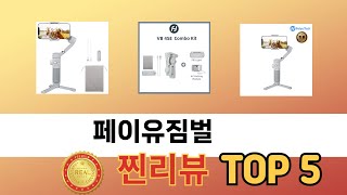 꾸준히 인기 있는 페이유짐벌 추천 5선