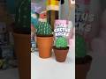 Easy diy cactus rocks