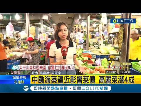 濱江市場湧入大量人潮! 中颱海葵逼近台灣影響菜價 民眾紛紛出門採買備戰 高麗菜價格上漲4成│記者 翁嘉妤 周冠宇│【LIVE大現場】20230902│三立新聞台