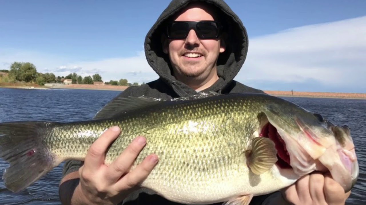 Colorado Bass Fishing - YouTube