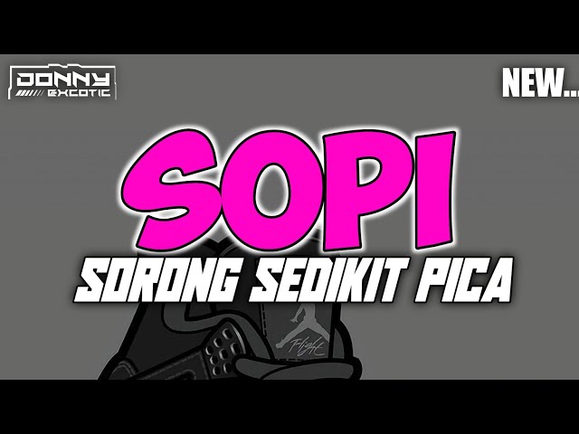 ™🌴 SOPI |Sorong Sedikit Pica| - (Donny Excotic) Remix Virall Terbaru 2023 class=