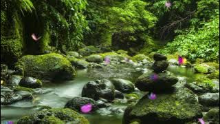'kedamaian cinta' Video background alam,semesta,awan,puisi,lagu,gerak,rumput (no copyrigh)