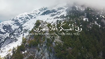 وفي الأرض آيات للموقنين....إسلام صبحي