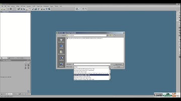 Tutorial - How to import raster data in Nest