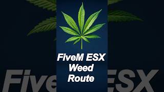 FiveM ESX Weed Route 🔥 für deinen FiveM Server  #fivem  #gta5  #cannabiscommunity