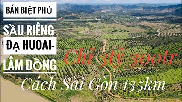 (ĐÃ BÁN)đất vườn có suối | 67mét mặt đường nhựa | khu biệt phủ sầu riêng tại Đạ Huoai Lâm Đồng