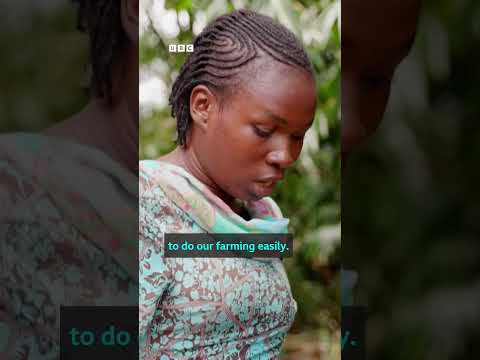 Amputees in Sierra Leone learn to farm: 'You'll not see me beg' - BBC Africa