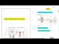 Welcome back Senior 27 | Biology trial session