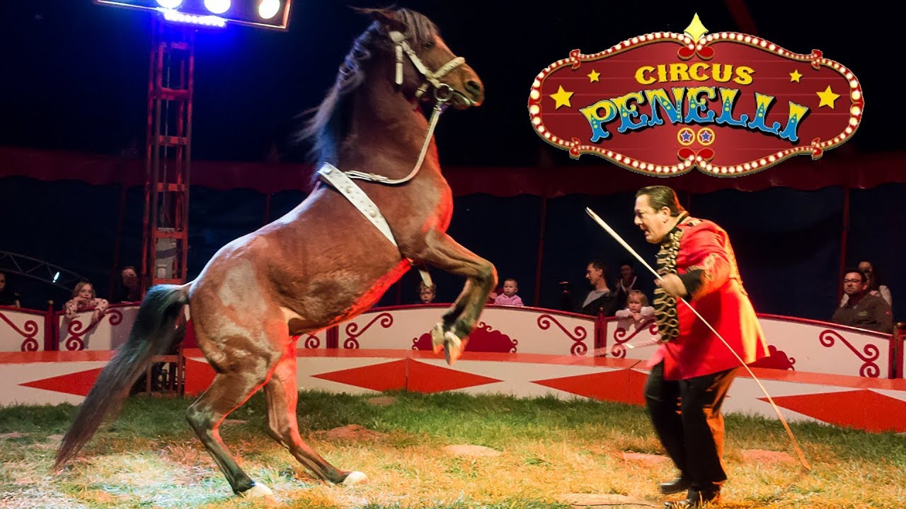 Zirkus Penelli