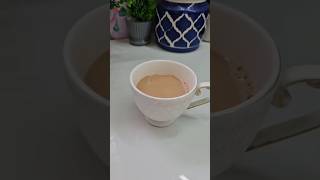 Indian masala tea | How to make ginger tea | adrak wali chai #chai #gingertea