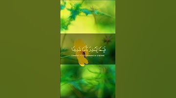 سورة الكهف - هزاع البلوشي