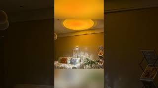 Dual Head Aurora Sunset Projector Floor Lamp