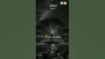 ماهر المعيقلي من سورة الزمر #تلاوة_خاشعة #قرآن