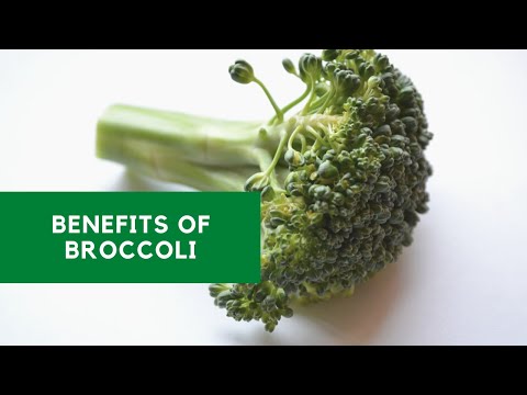 Benefits Of Broccoli | Mishry Reviews