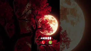 Ringtone MP3 2025 I sweet music 🎵🎶 BGM #tweening #