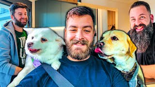 ΕΝΑ ΤΡΕΛΟ ΑΠΟΓΕΥΜΑ ΣΤΟ ΝΕΟ ΣΠΙΤΙ ΤΟΥ ΜΙΧΑΛΗ!