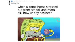 BEST SPONGEBOB MEMES! (r/BikiniBottomTwitter)