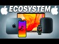 Apple Ecosystem: Everything You Need To Know