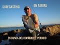 SURFCASTING, JORNADA EN SOLITARIO EN TARIFA.