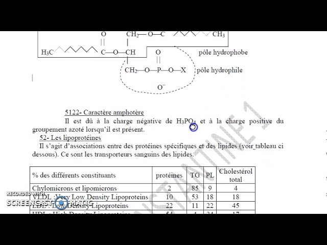 Biochimie Les lipides (04)