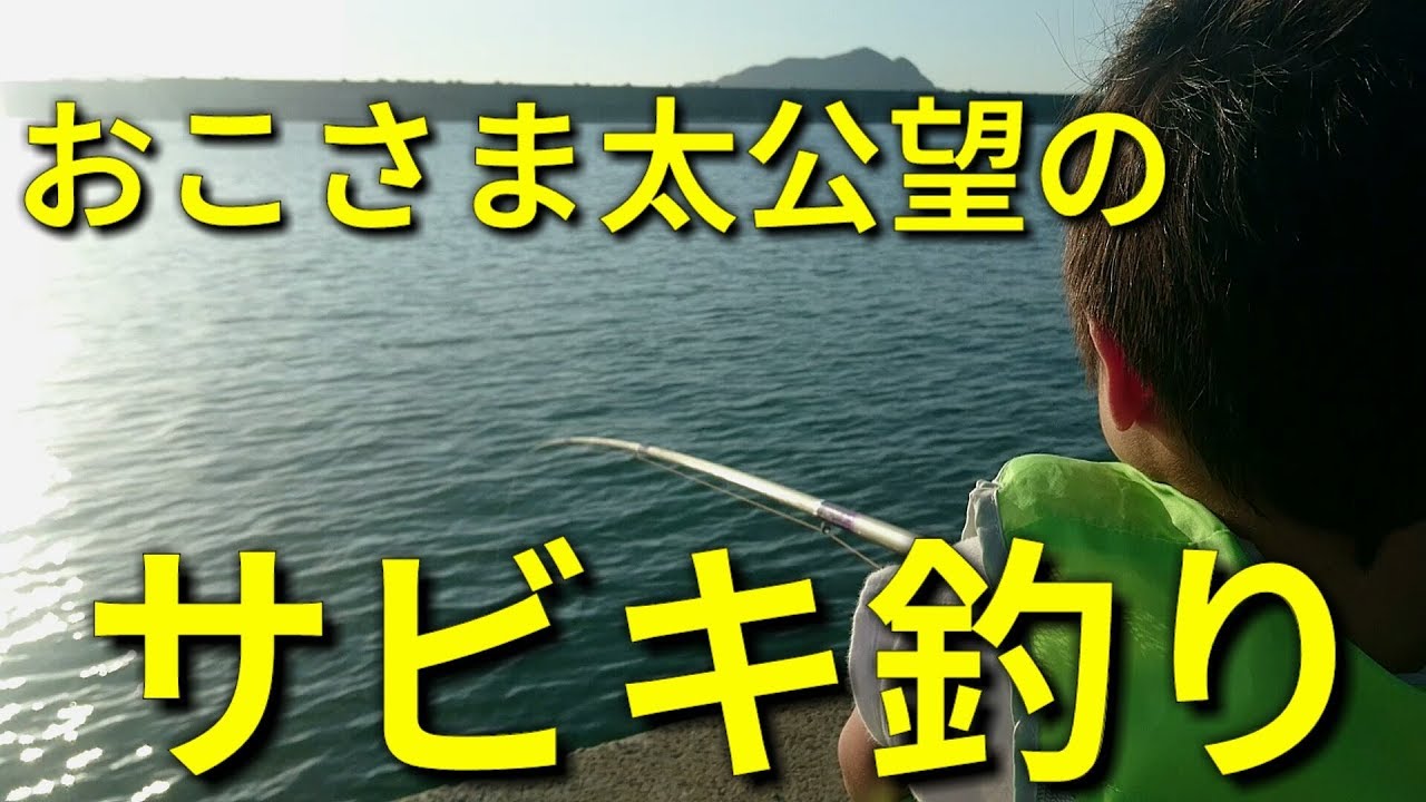釣り初心者のかた向け・おこさま太公望の「サビキ釣りのしかた」にわか