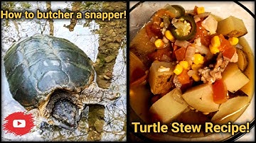 How to Clean and Cook a Snapping Turtle - Turtle Soup RECIPE!