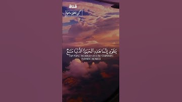 أجمل حالات واتس اب قرآن كريم بصوت جميل جدا ❤😍 Quran Status || أحمد العبيد
