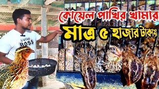 অল্প টাকায় কিভাবে কোয়েল পাখির খামার শুরু করবেন || Koyel Pakhi || কোয়েল পাখি পালন পদ্ধতি || Nur Bhai