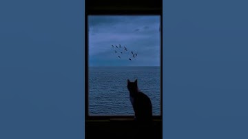 #القرآن_الكريم #اكسبلور #غرداية #دويتو #سورة_البقرة #راحة_نفسية #explore #تلاوة_خاشعة #غرداية