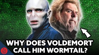 Why Does Voldemort GOOGLE AUTOFILL by SuperCarlinBrothers 93,416 views 1 month ago 21 minutes