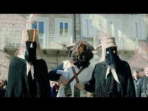 Carnevale di Stigliano 2023