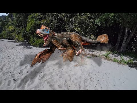 Vídeo: Os Dinossauros Ainda Vivem Na Selva Impenetrável - Visão Alternativa