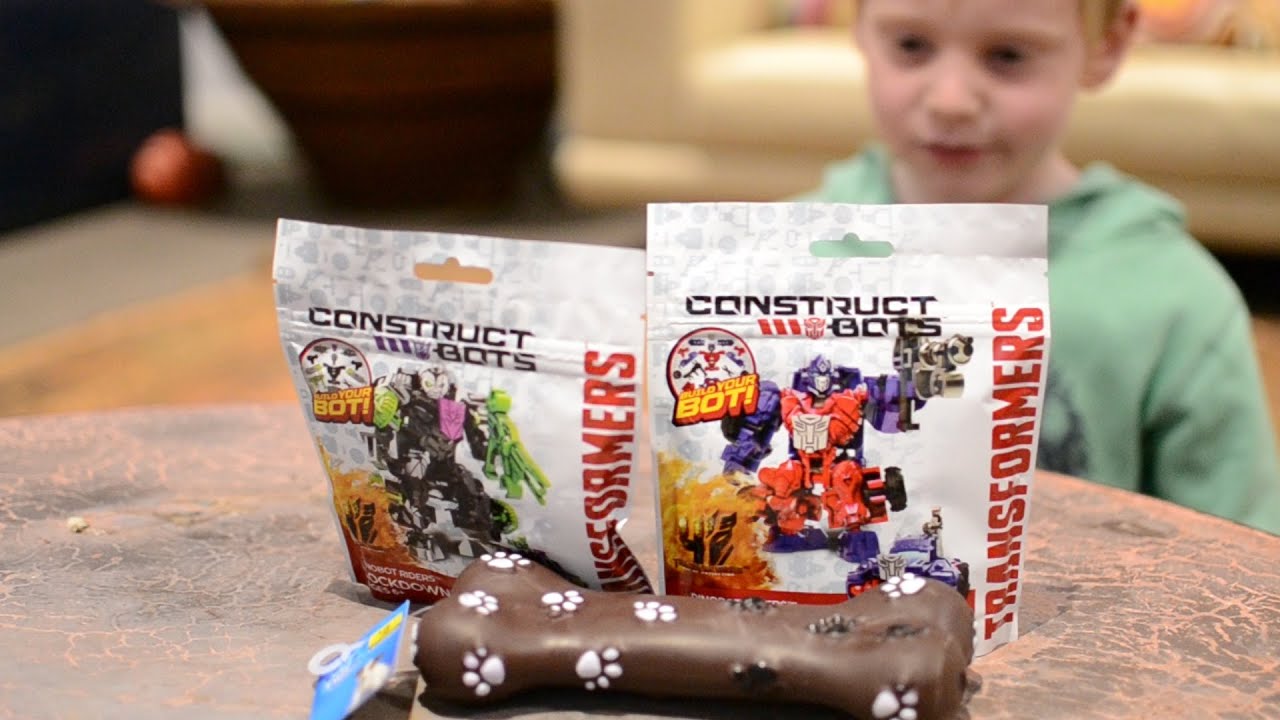 10 Toy Challenge with Construct Bots and Toy for Moose the Dog YouTube