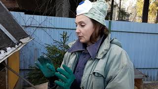 видео: Дезинфекция курятника. Обработка Известью. картинка: Дезинфекция курятника. Обработка Известью.