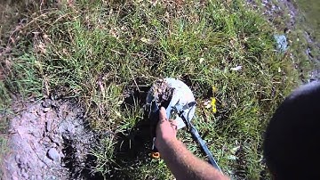 Enhance Vs Fine Gold timings