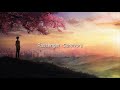 Passenger - Survivors (letra en español)