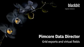 Pimcore Data Director: Grid Exports + Virtual Fields
