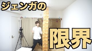 僕の家でできる限界レベルのジェンガ