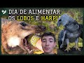 ALIMENTANDO AS HARPIAS E LOBOS! | TIAGO JÁCOMO