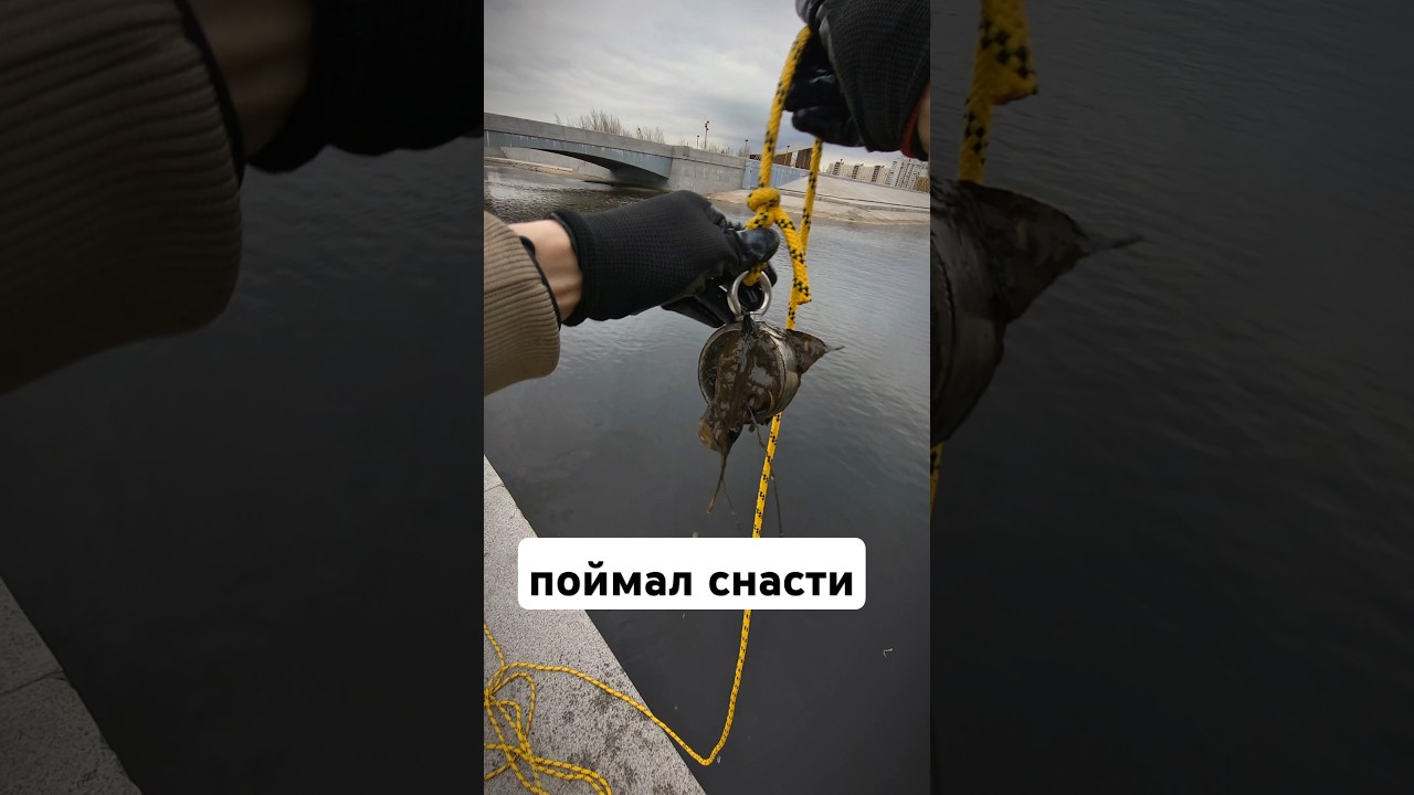 Потраченного времени жаль 