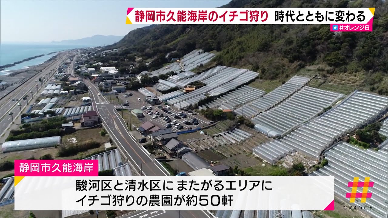 静岡市久能海岸のイチゴ狩り 時代とともに変わる Youtube 静岡市久能海岸のイチゴ狩り 時代とともに変わる Youtube